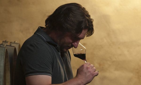 Discovery of our wines-photo