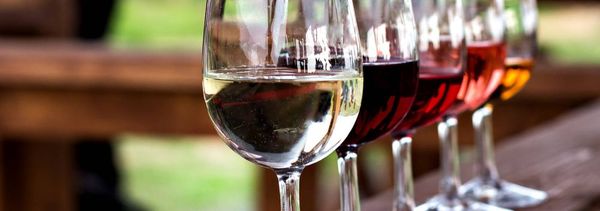 Stage d'initiation à l'oenologie, 1 journée, Clermont-Ferrand-photo