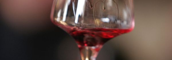 Laboratorio di scoperta del viaggio dei sensi-photo