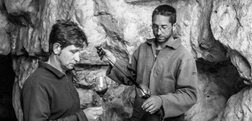 Vignobles Boisard, Domaine du Mortier photo