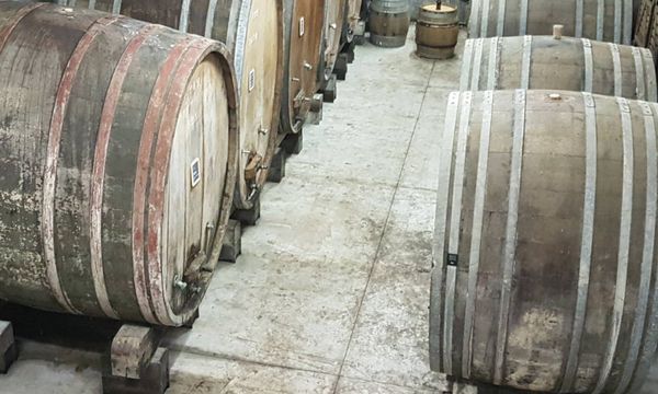 Descubra nuestra bodega y deguste nuestros vinos-photo