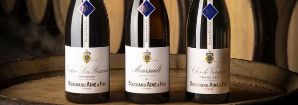 Special Visit & Tasting Wine Sale 2025-photo