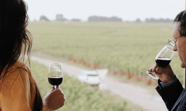 Dégustation des vins de notre propriété familiale-photo