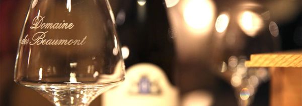 First aromas-photo