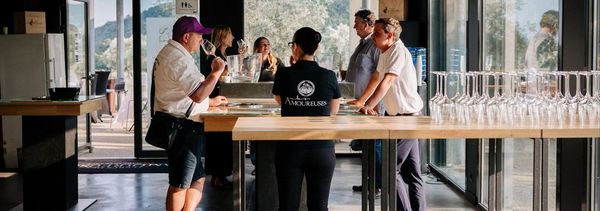 Visite de la cave et dégustation de la gamme-photo