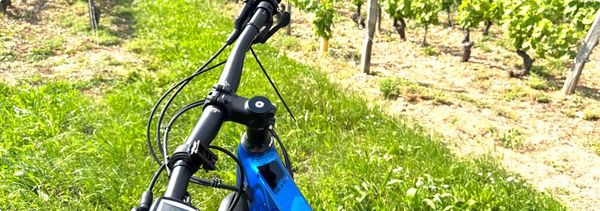 Visite à vélo de parcelles renommées & dégustation-photo
