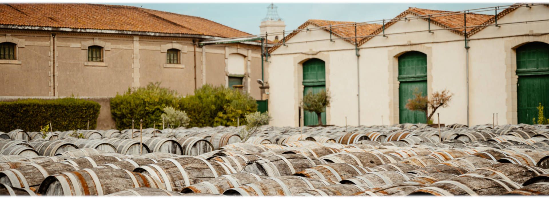 Maison Noilly Prat - Rue des Vignerons