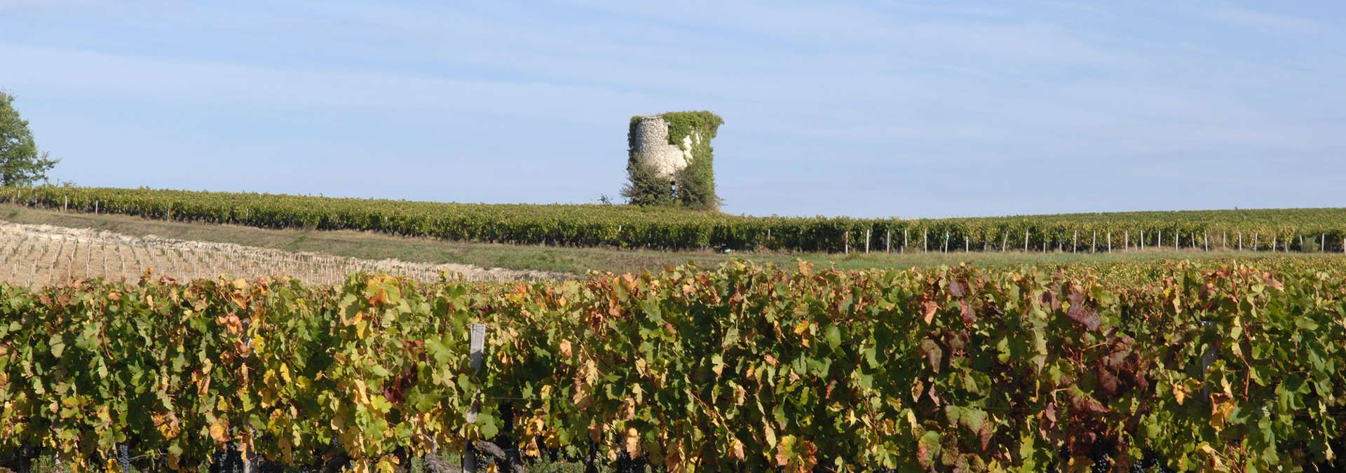 Château La Mouline - Rue des Vignerons