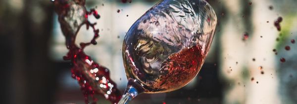 Terroirs 4 wijnen tour-photo