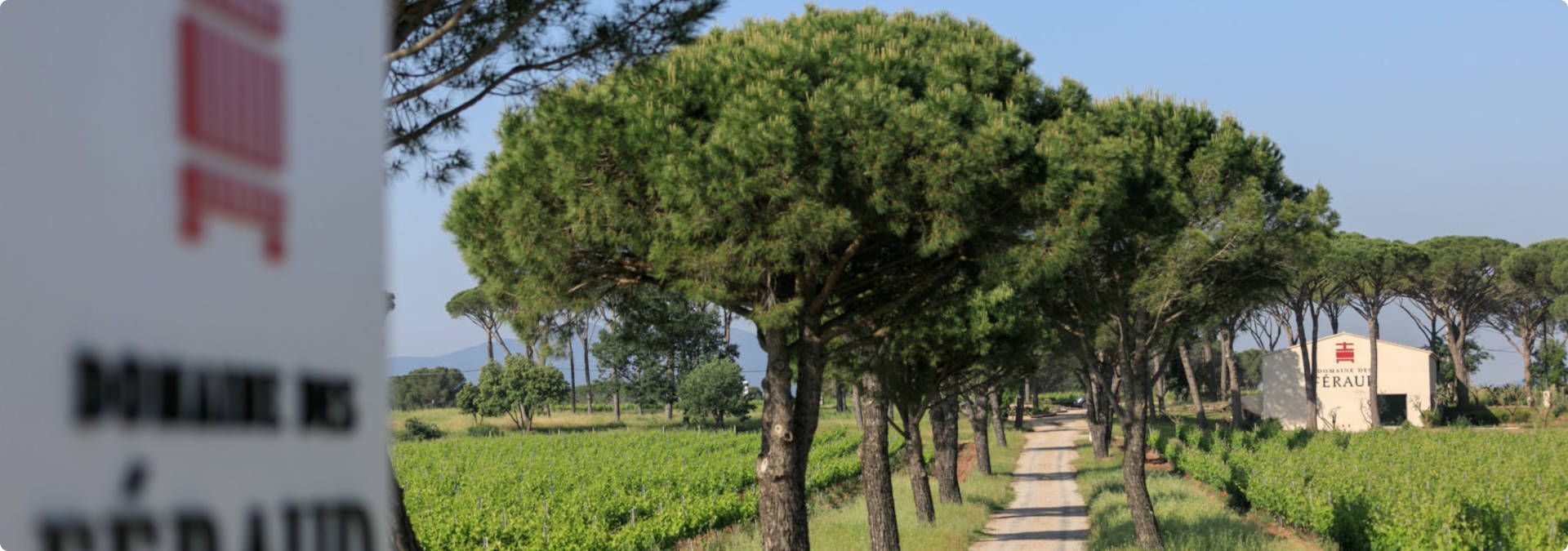 Domaine des Féraud - Rue des Vignerons