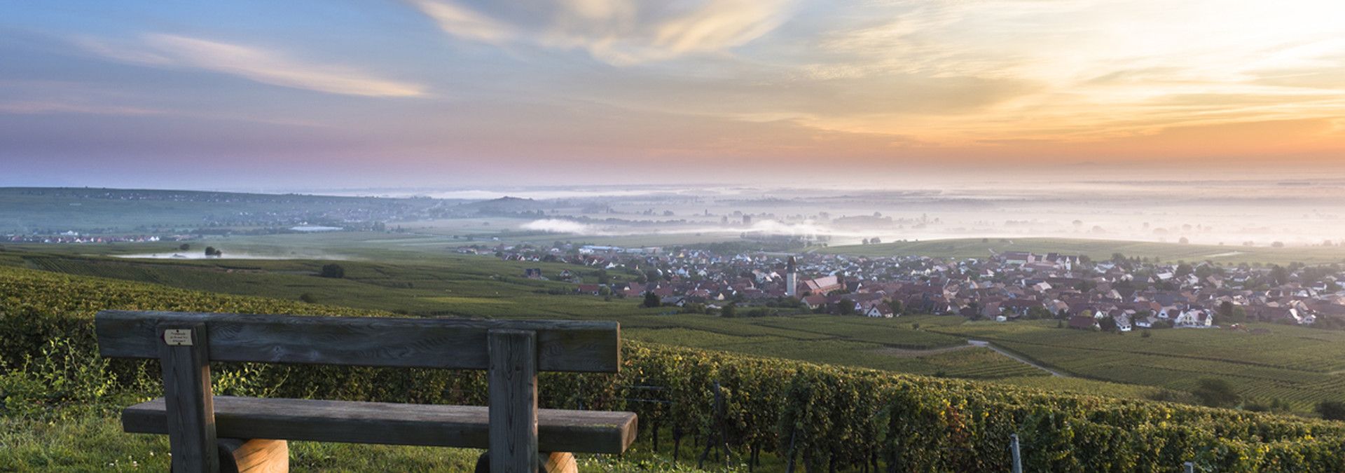 Domaine Rieflé-Landmann - Rue des Vignerons