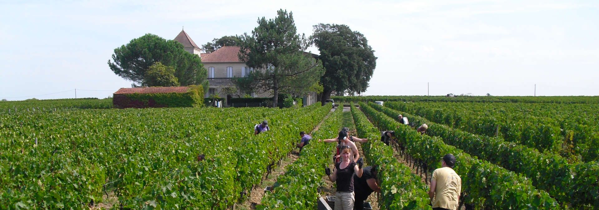 Chateau Chêne-Liège - Rue des Vignerons