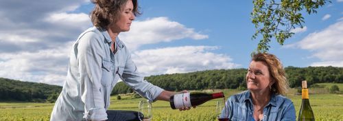 Domaine Louis Chenu et Filles photo