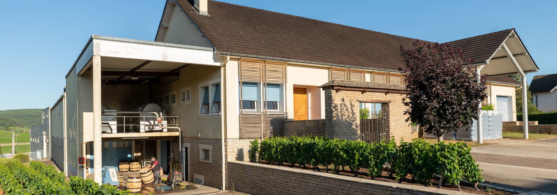 Domaine Marguerite Carillon - Rue des Vignerons