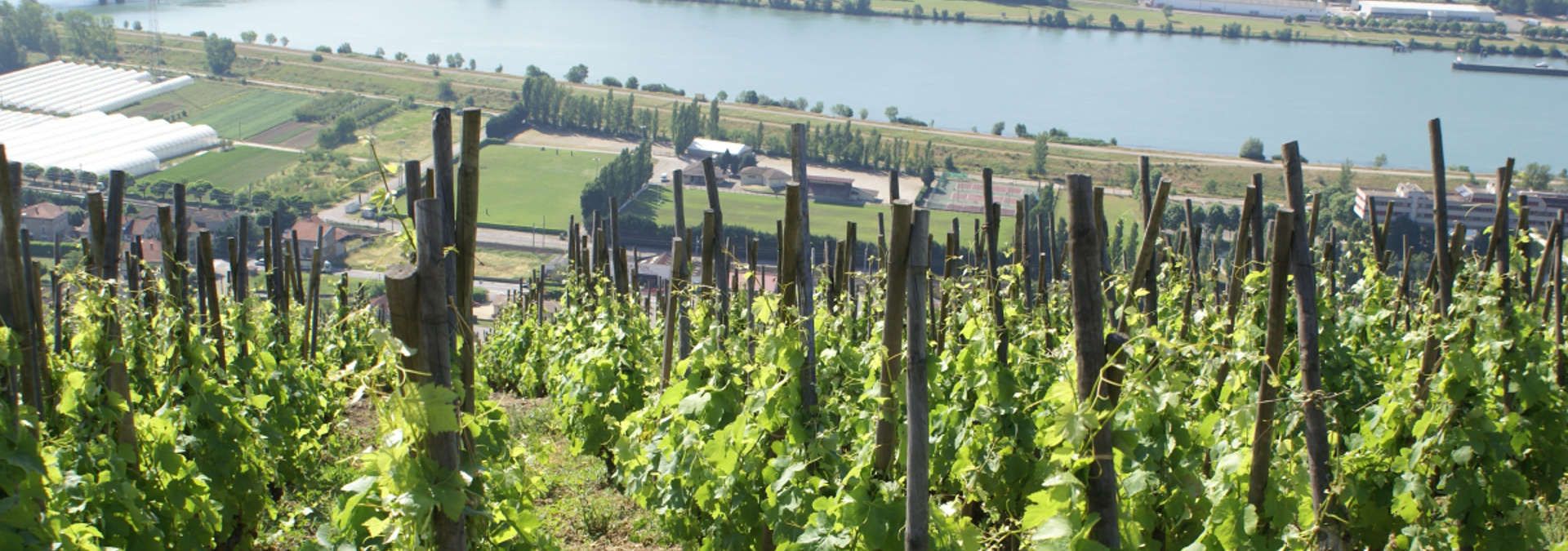 Maison Clusel-Roch - Rue des Vignerons