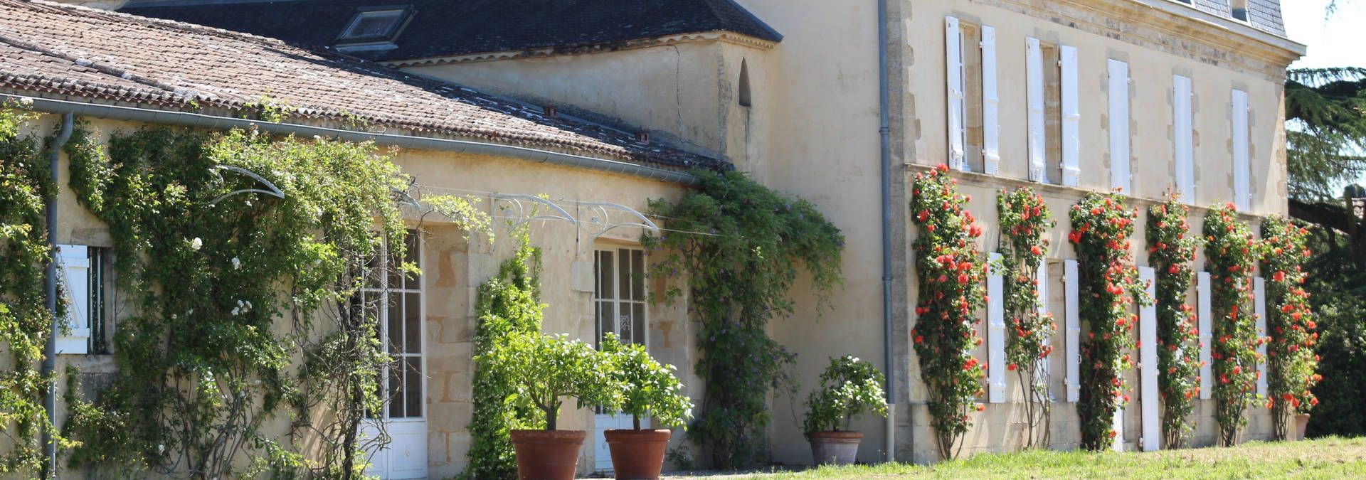 Château Guiraud - Rue des Vignerons