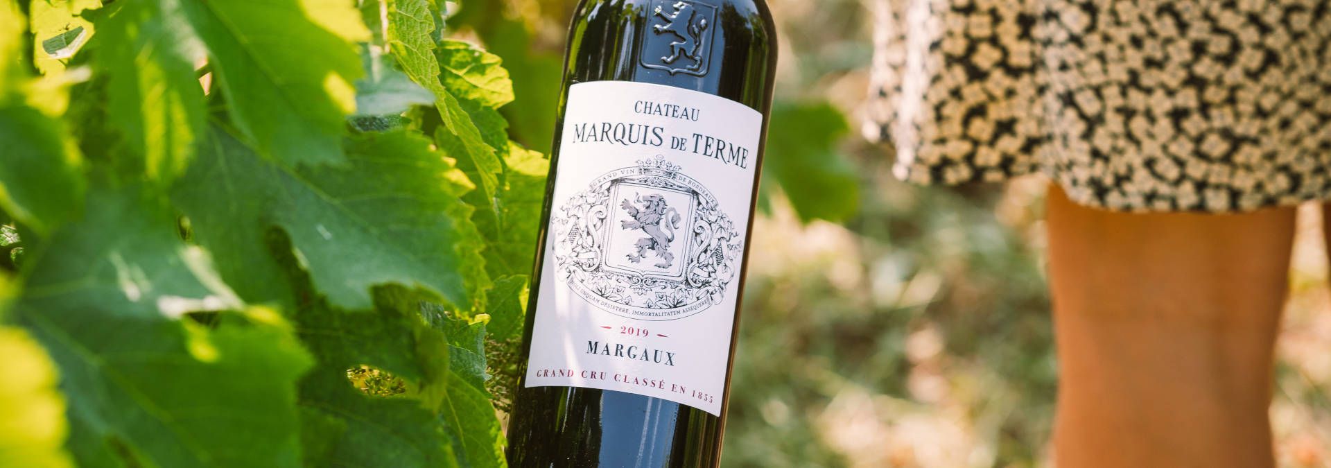 Workshop "Grands Crus" Wines &amp; Chocolates