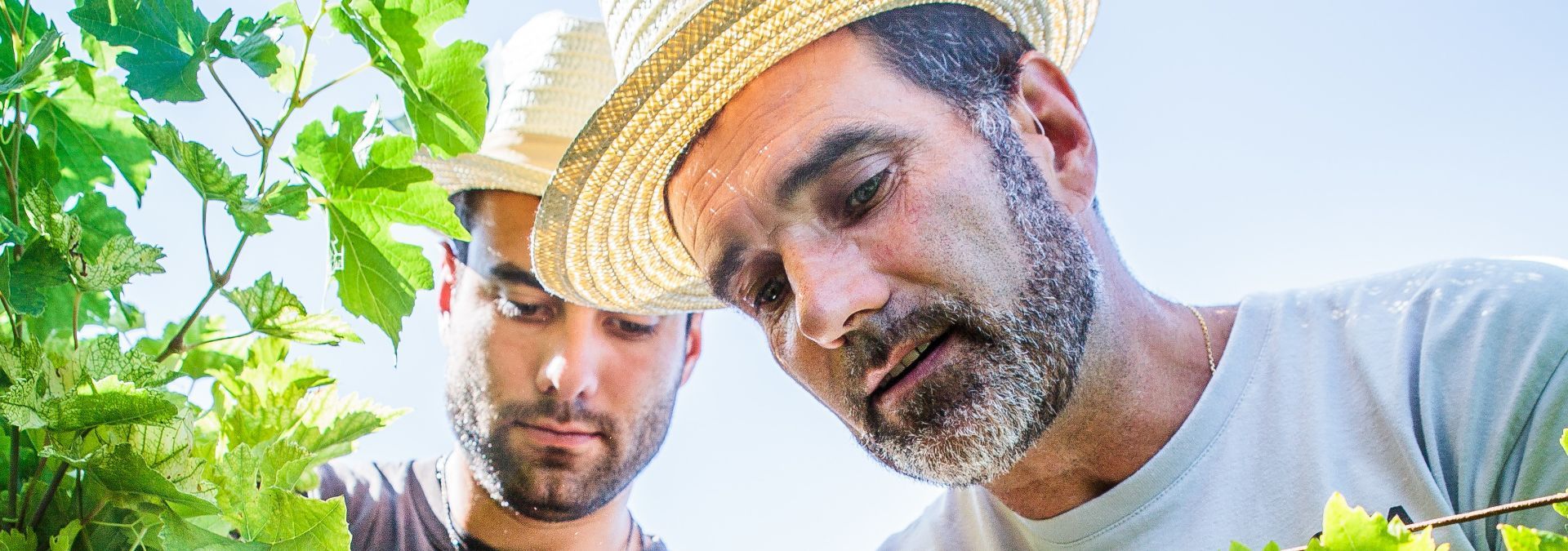 Domaine de Labarthe - Rue des Vignerons