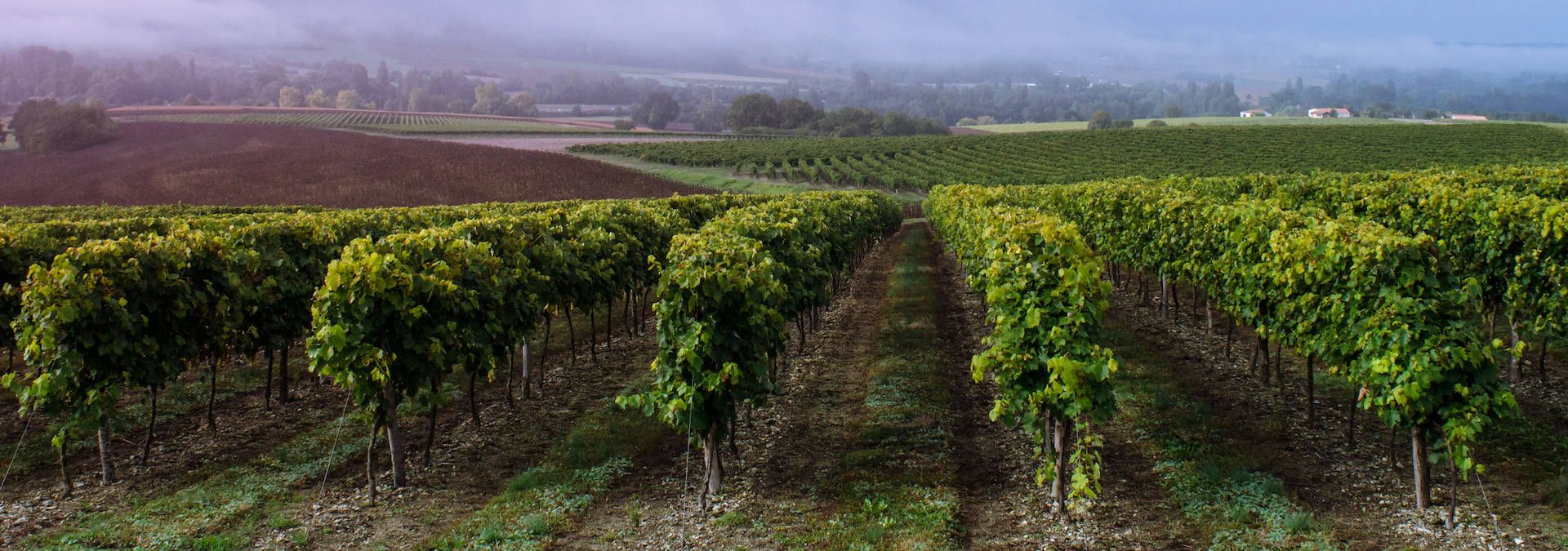 Domaine Conte et Filles - Rue des Vignerons
