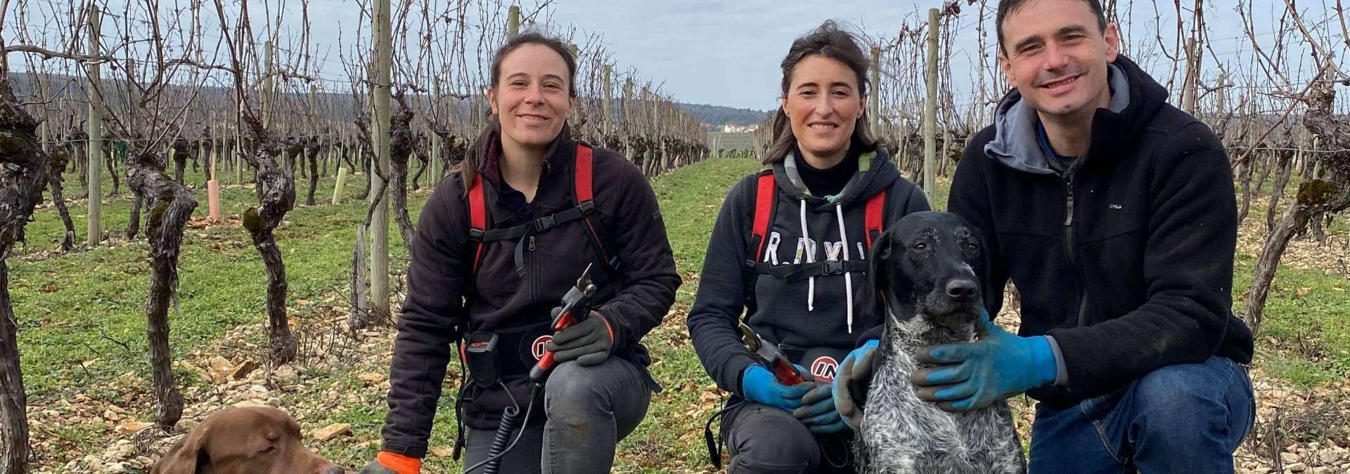 Domaine Truchetet - Rue des Vignerons