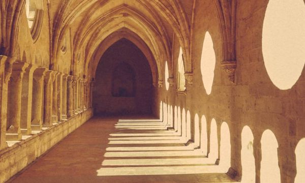 Visite libre de l'Abbaye et découverte des vins-photo