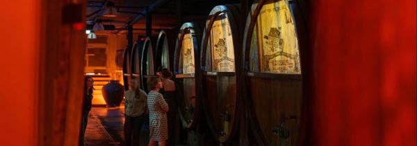 Visita guiada a la bodega y degustación de 5 vinos-photo