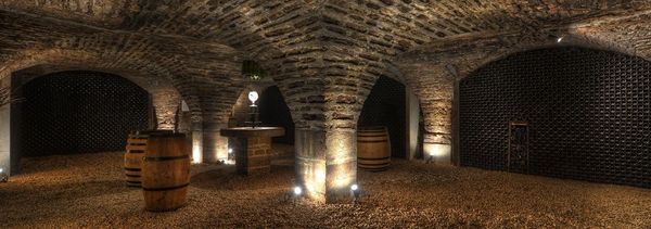 Experiencia privada en el castillo-photo