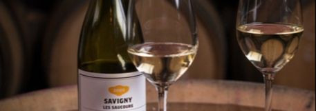 Domaine Louis Chenu et Filles - Rue des Vignerons