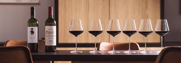 The terroirs in 5 stages-photo