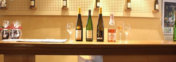 Biodynamie - was ist das?-photo