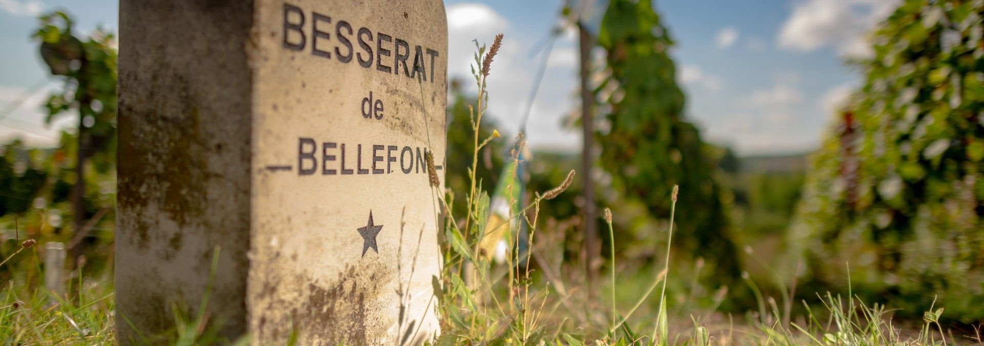 Maison Besserat de Bellefon - Rue des Vignerons