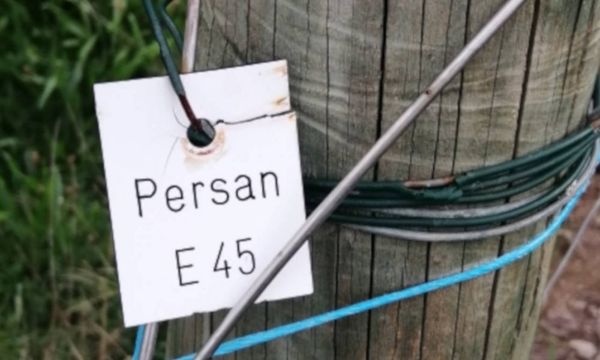 Bezoek aan het Conservatorium van vergeten druivenrassen-photo