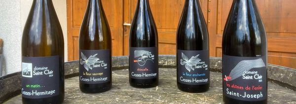 Cata de nuestras cosechas-photo