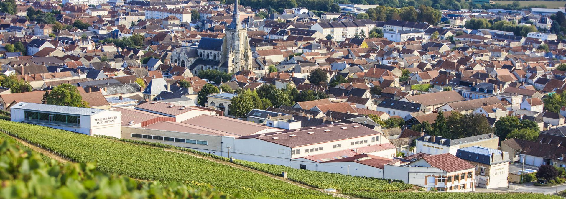 Cité du Champagne - Rue des Vignerons