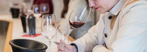 Workshop|Wine tasting|Burgundy winery-photo