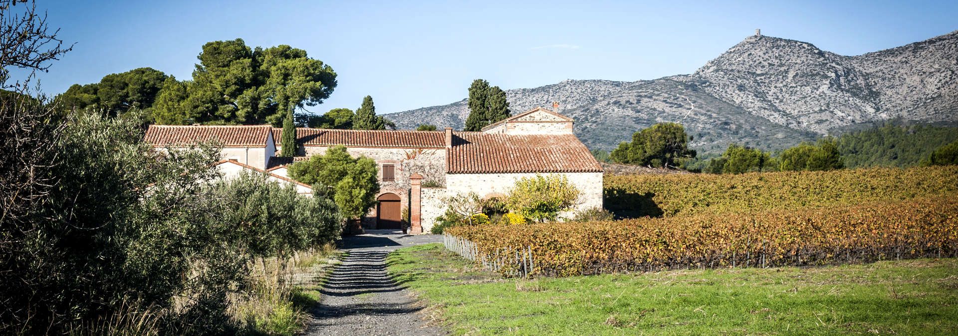 Mas Cremat - Rue des Vignerons