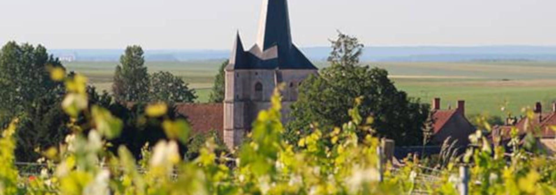 Domaine Catherine et Michel Langlois - Rue des Vignerons