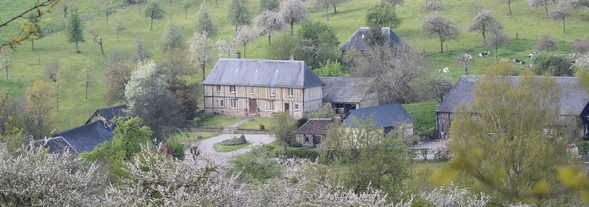 Domaine de la Galotière - Rue des Vignerons