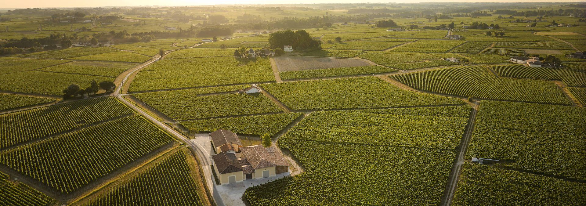 Château Chauvin - Rue des Vignerons