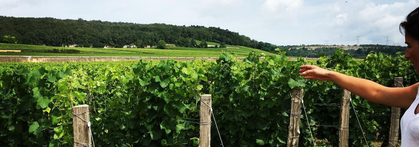 Domaine Truchetet - Rue des Vignerons