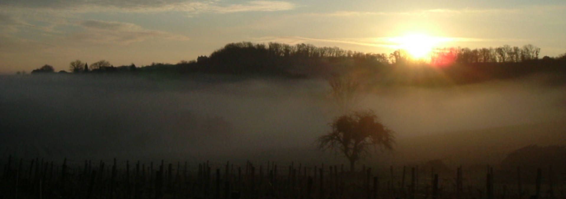 Château Tirecul La Gravière - Rue des Vignerons