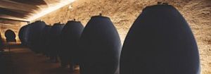 Domaine Yves Boyer Martenot - Rue des Vignerons