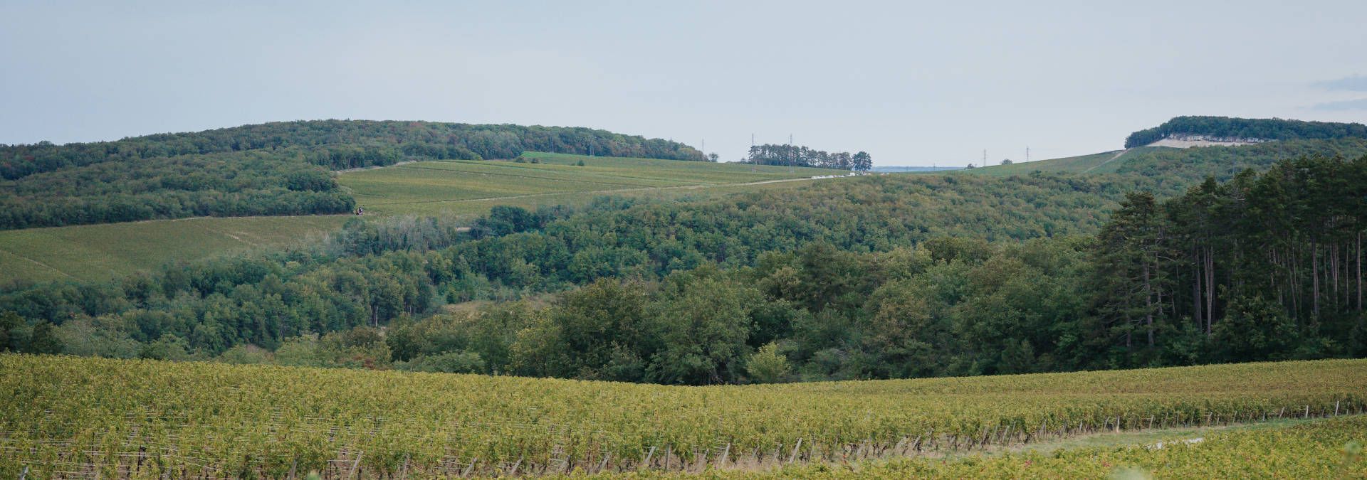 Château de Chamilly - Rue des Vignerons