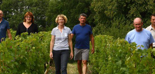 Cave de Vouvray photo