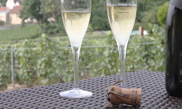 Découverte de trois Champagnes-photo