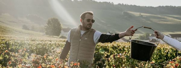 Rundgang durch den Weinberg und Besuch des Weinguts-photo