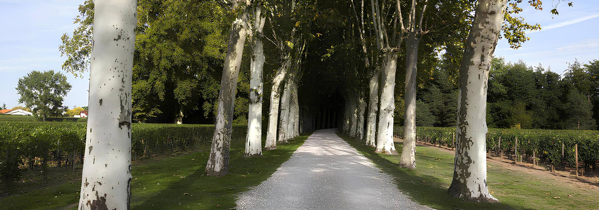 Château Mazeyres - Rue des Vignerons