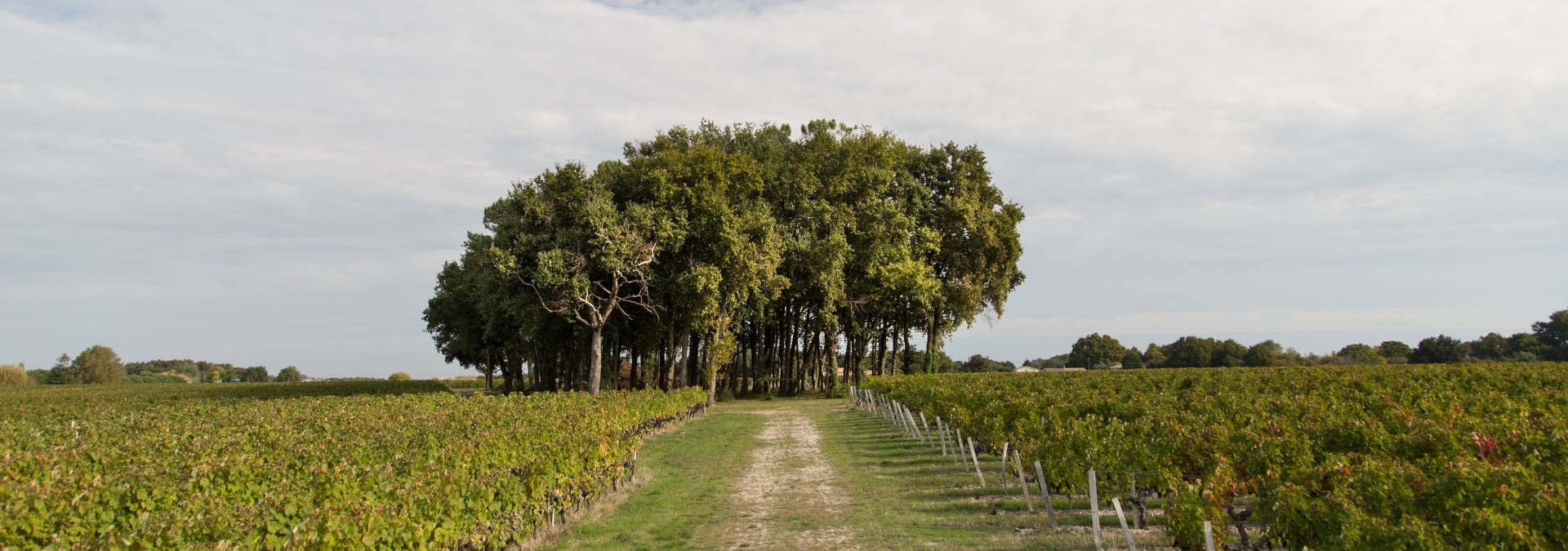 Château Noaillac - Rue des Vignerons