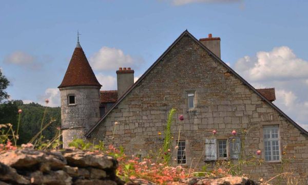 Afternoon Excursion to the Côte de Nuits-photo