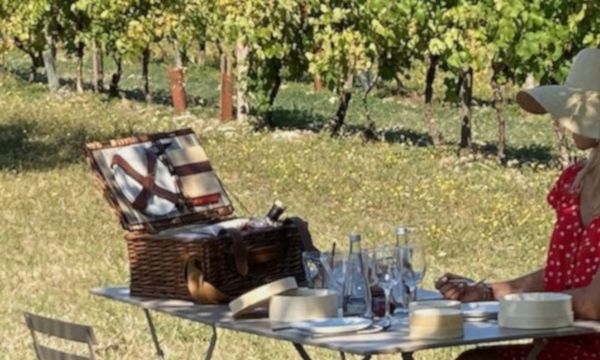 Smart picnic in the vineyards-photo